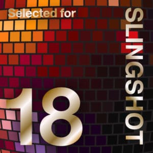 ShalomLearning honored in Slingshot 2018