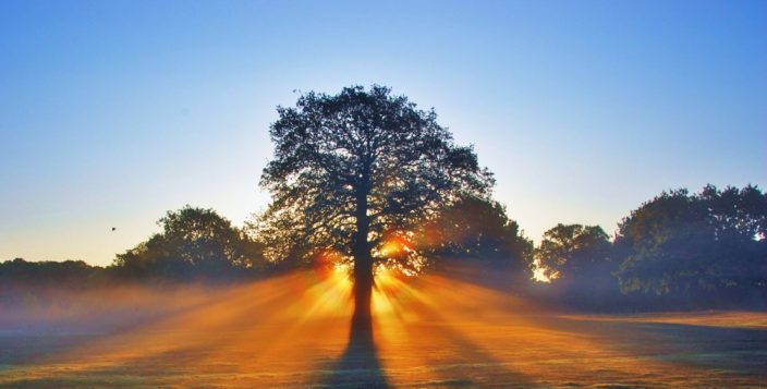 Staying Positive Through The Crisis (Scroll down for today’s post)