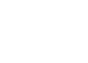 Jewish National Fund Logo